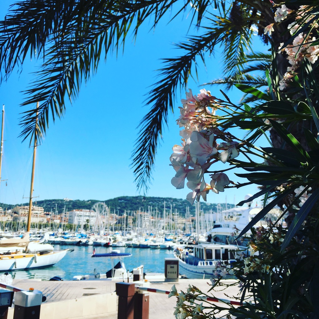 Cannes is a quick and easy day trip from Nice