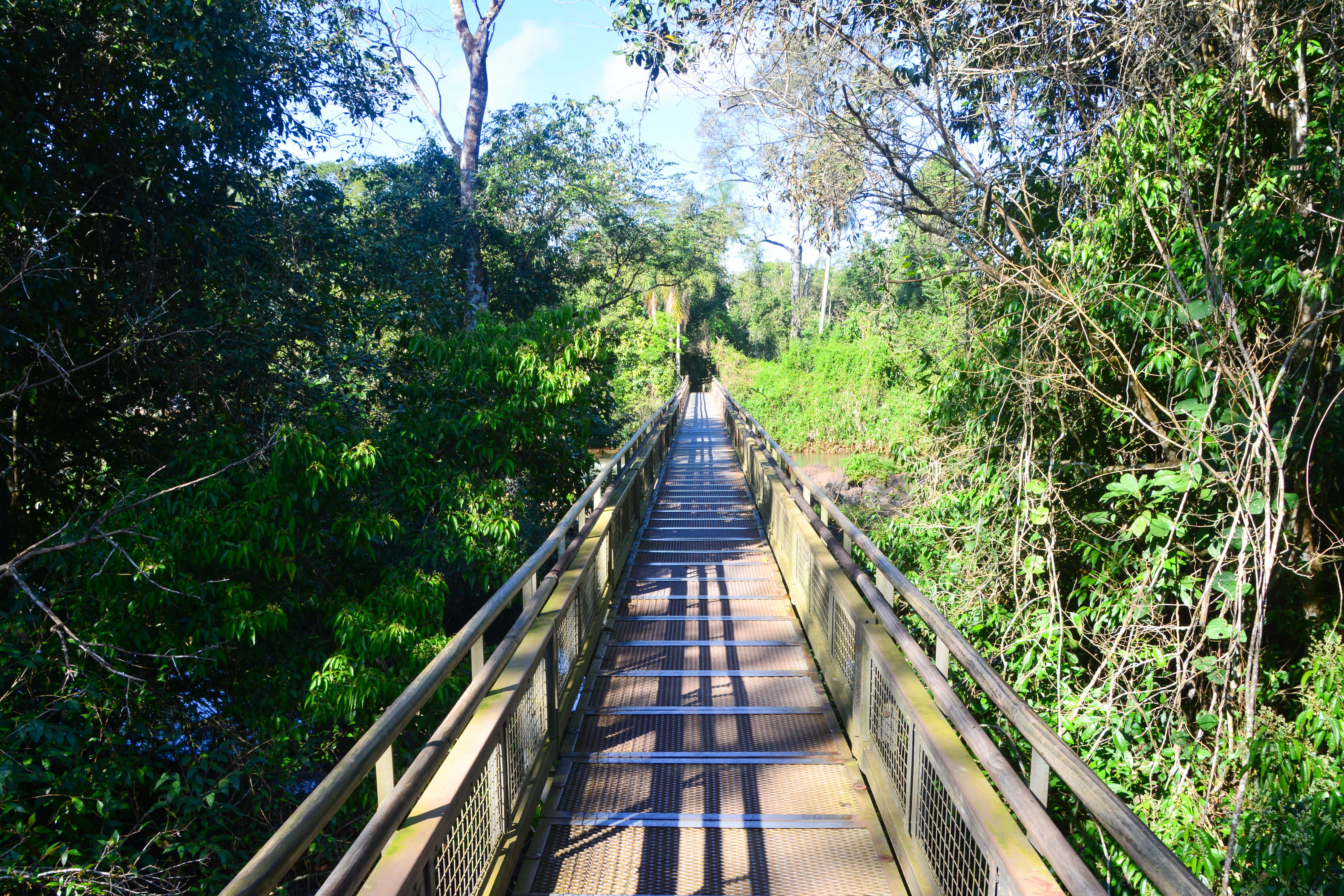 Pathway in Iguazu Falls