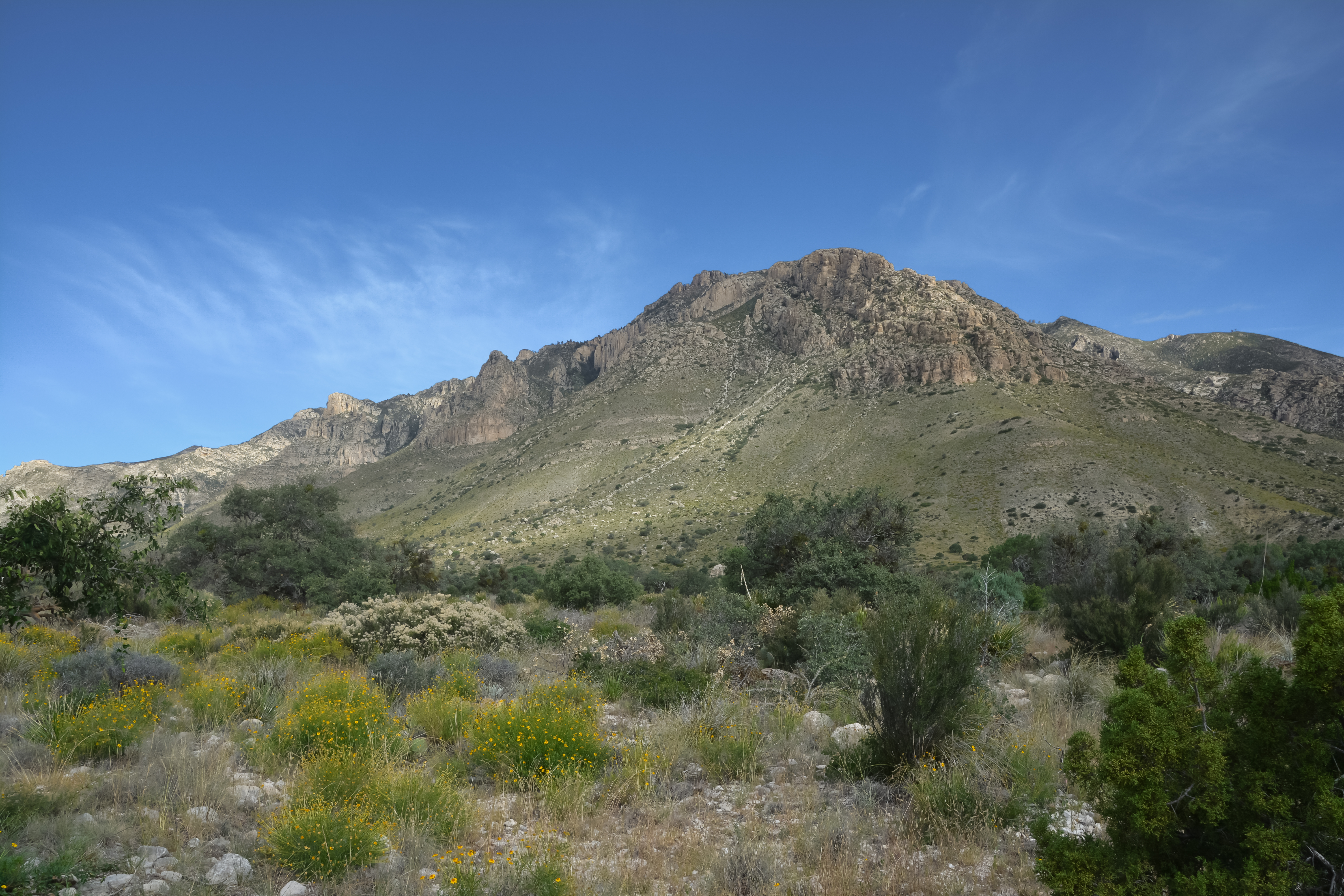 guadalupe mountains